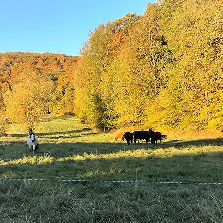 Apartamento Haus Landlust - Og Lago Éder