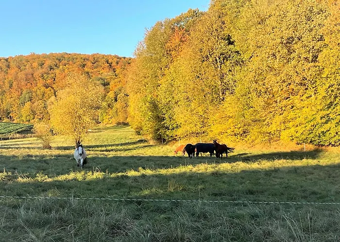 Apartman Haus Landlust - Og Edersee